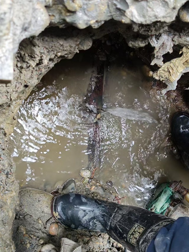 鹤山地区绿化水管漏水检测维修